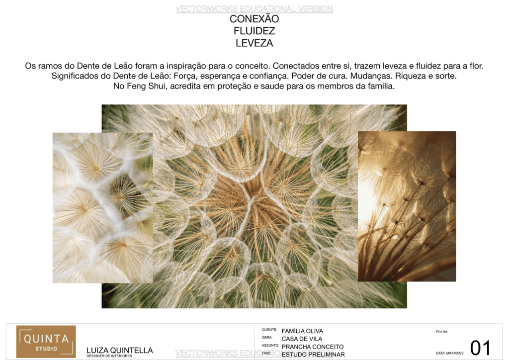 Obra de Luiza Quintella