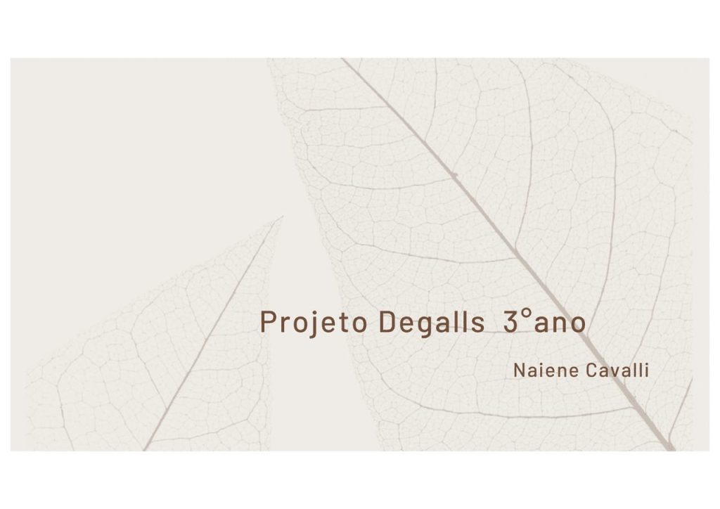 Obra de Naiene Cavalli de Souza