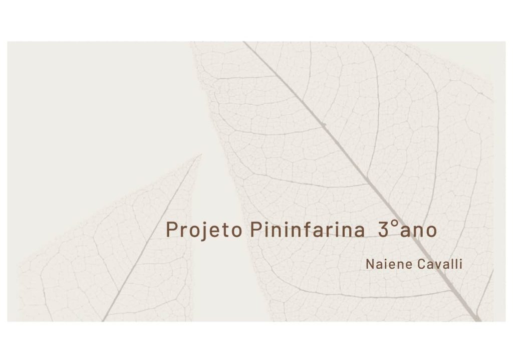Obra de Naiene Cavalli de Souza