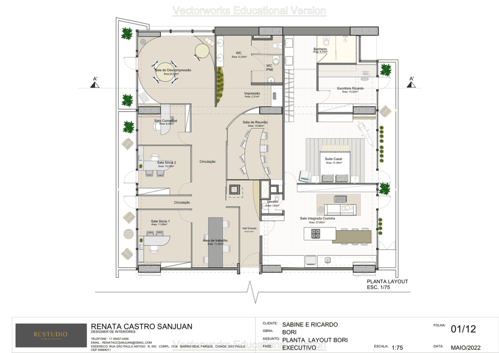 Obra de Renata Cavalcanti Castro Sanjuan