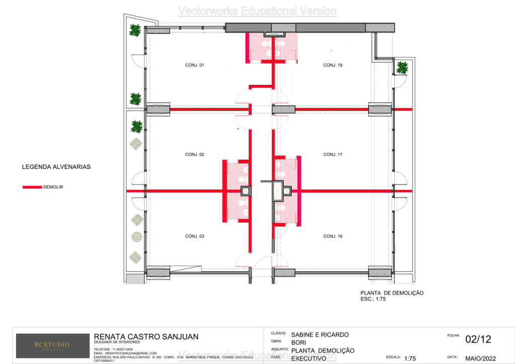 Obra de Renata Cavalcanti Castro Sanjuan