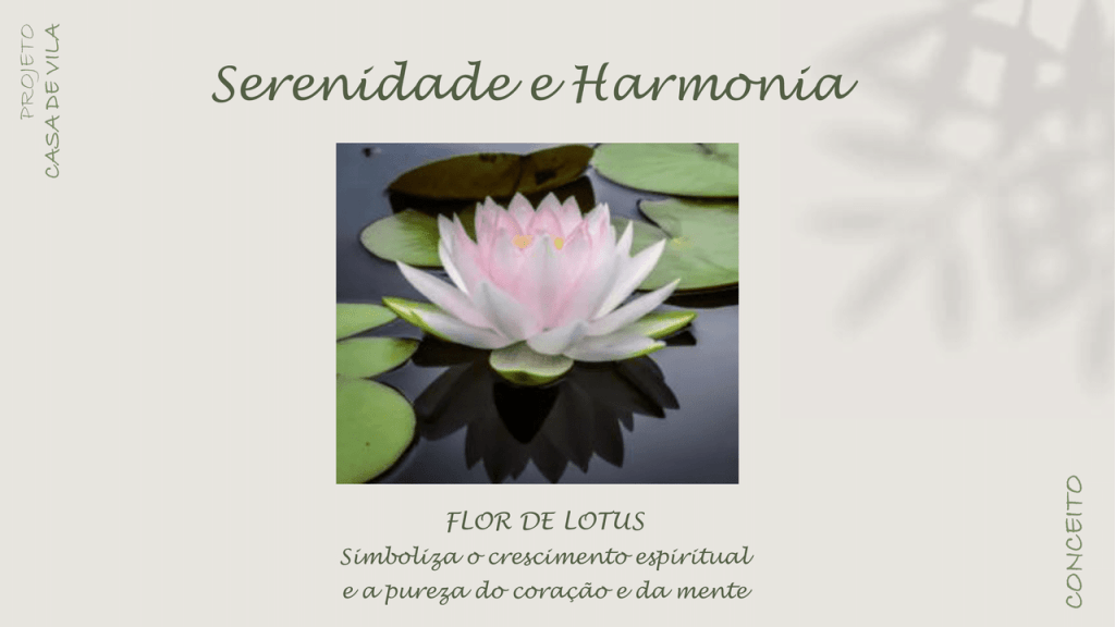 Obra de Virginia Maria de Araujo Sampaio