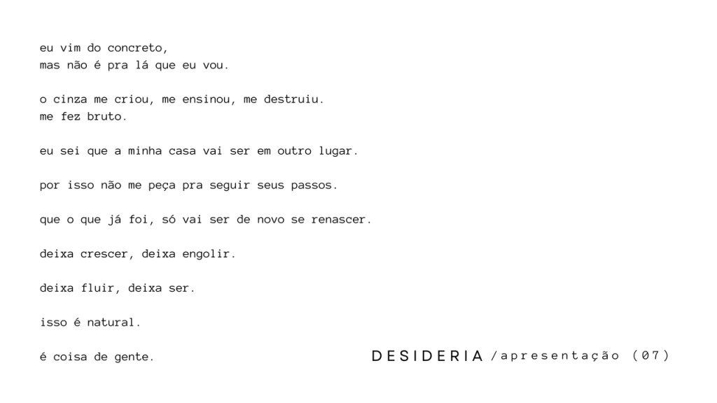 Obra de Barbara Vaz Sgarbi