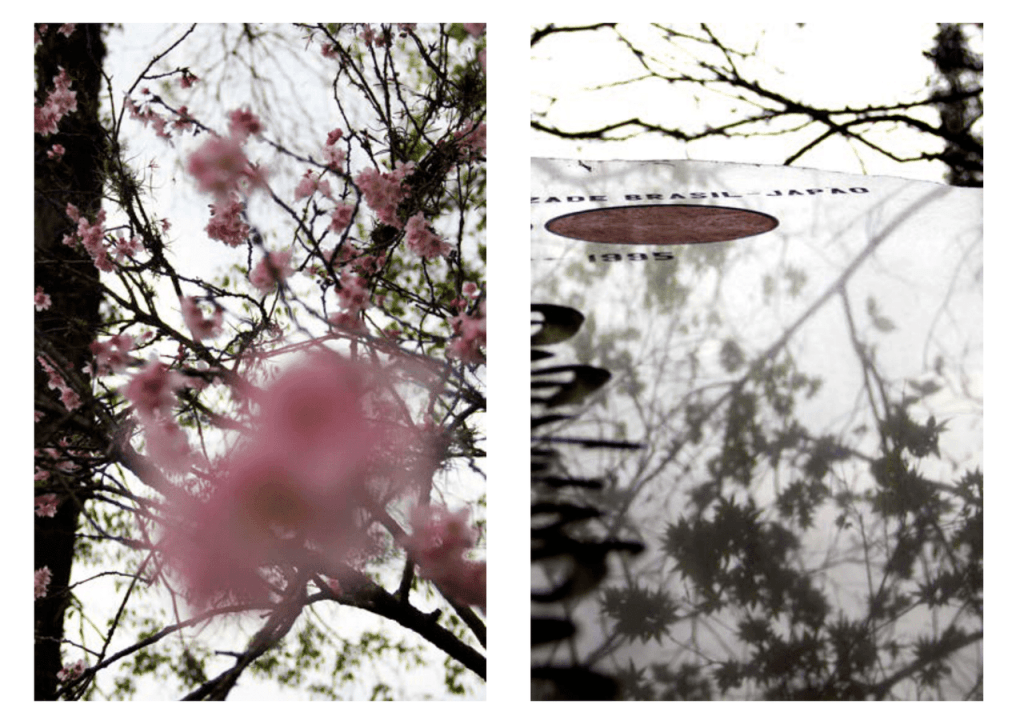 Obra de Erika Nakamura da Costa