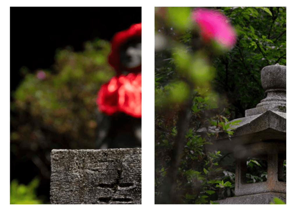 Obra de Erika Nakamura da Costa