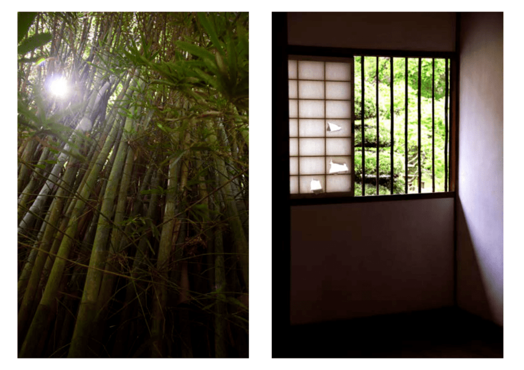 Obra de Erika Nakamura da Costa