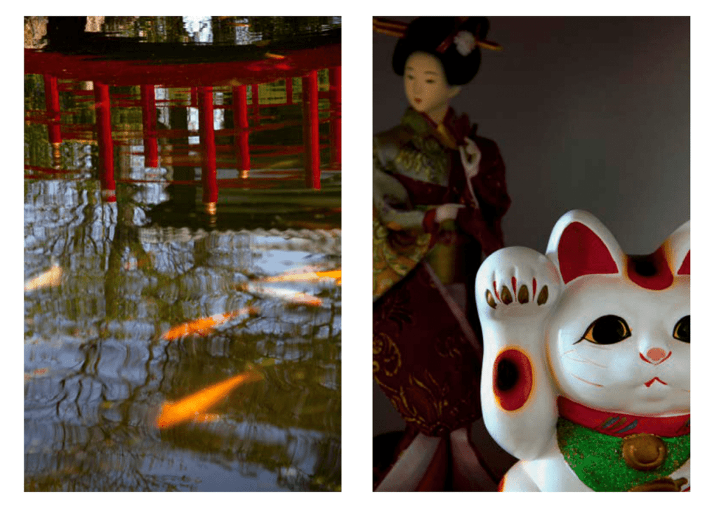 Obra de Erika Nakamura da Costa