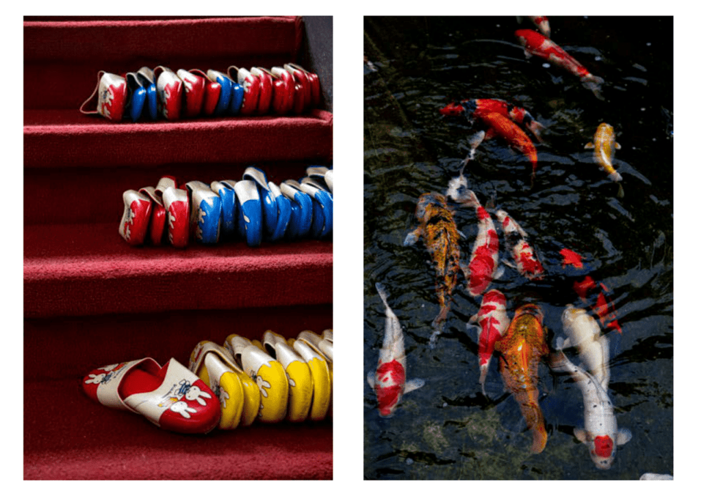 Obra de Erika Nakamura da Costa