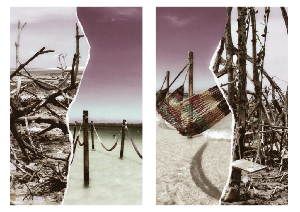 Obra de Erika Nakamura da Costa