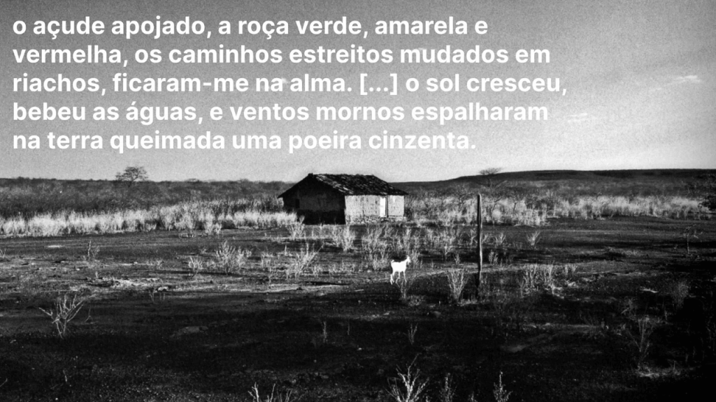 Obra de Maria Luiza Usero Silva 