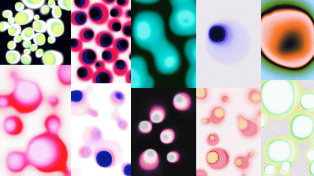 Obra de Stephany de Aquino Dias