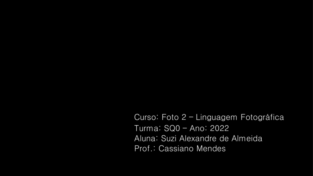 Obra de Suzi Alexandre de Almeida
