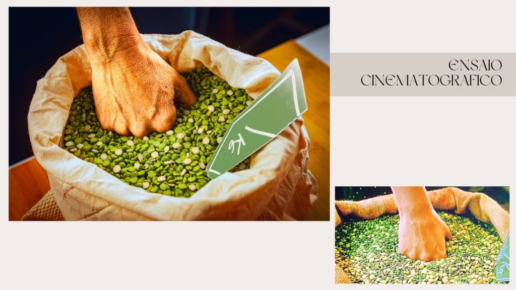 Obra de Bruna Buas Pazos