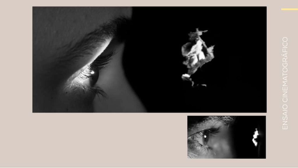 Obra de Luisa Takemoto Matsumoto