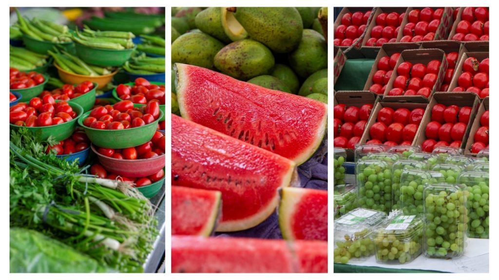 Obra de Monica Franco da Fonseca