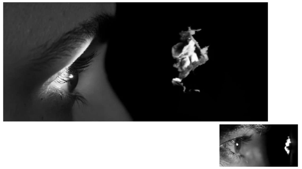 Obra de Monica Franco da Fonseca