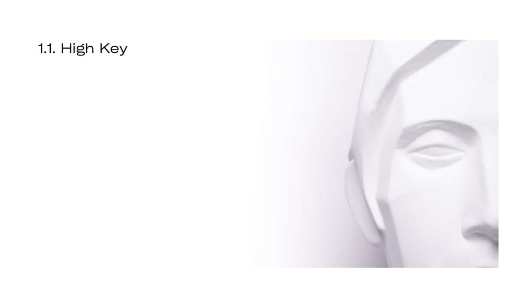 Obra de Olivia Meinberg Themudo Lessa 