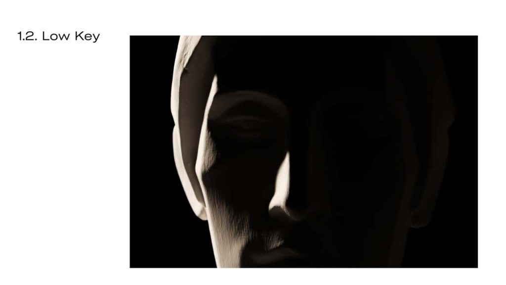 Obra de Olivia Meinberg Themudo Lessa 