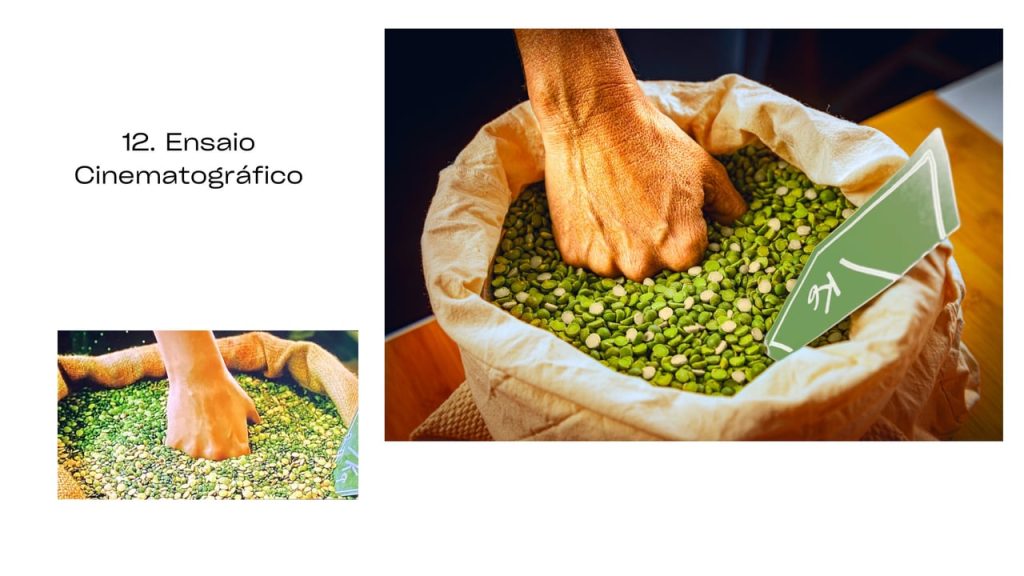 Obra de Olivia Meinberg Themudo Lessa 