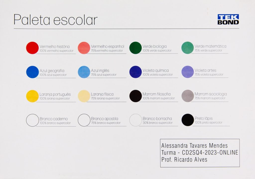Obra de Alessandra Tavares Mendes