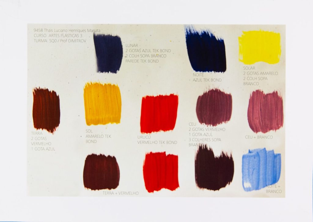 Obra de Thais Luciano Henriques Manata