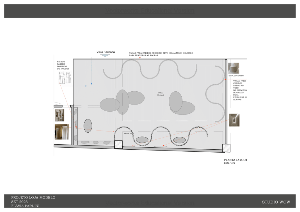 Obra de Flavia Pardini Lucas de Lima