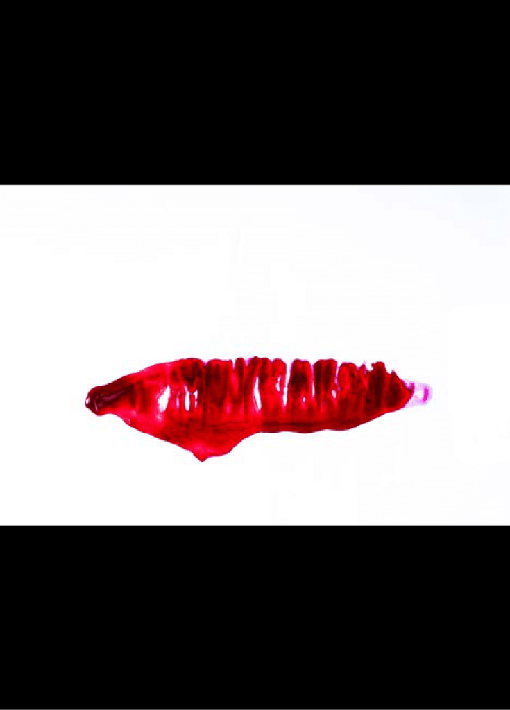 Obra de Adriane de Almeida Carneiro Medeiros