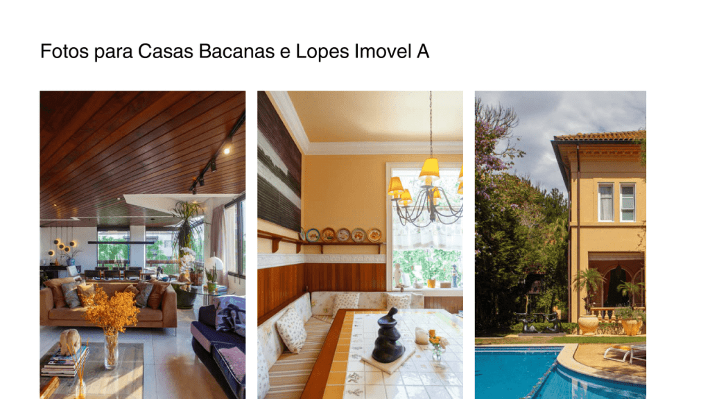 Obra de Amanda Scattolini Correa Mendes 