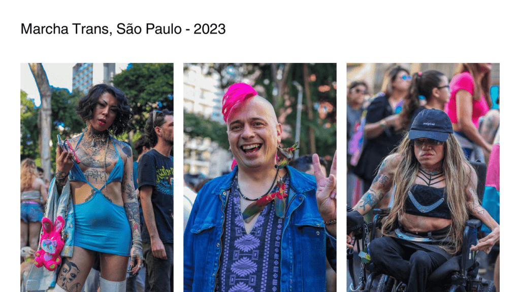 Obra de Amanda Scattolini Correa Mendes 