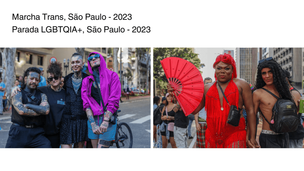 Obra de Amanda Scattolini Correa Mendes 