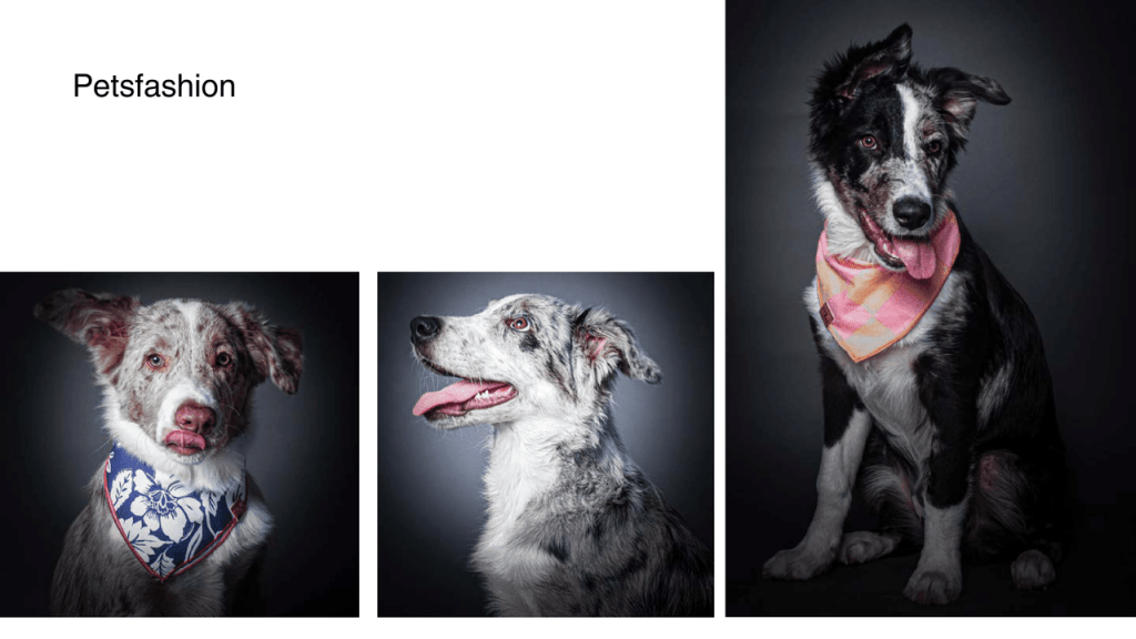 Obra de Amanda Scattolini Correa Mendes 