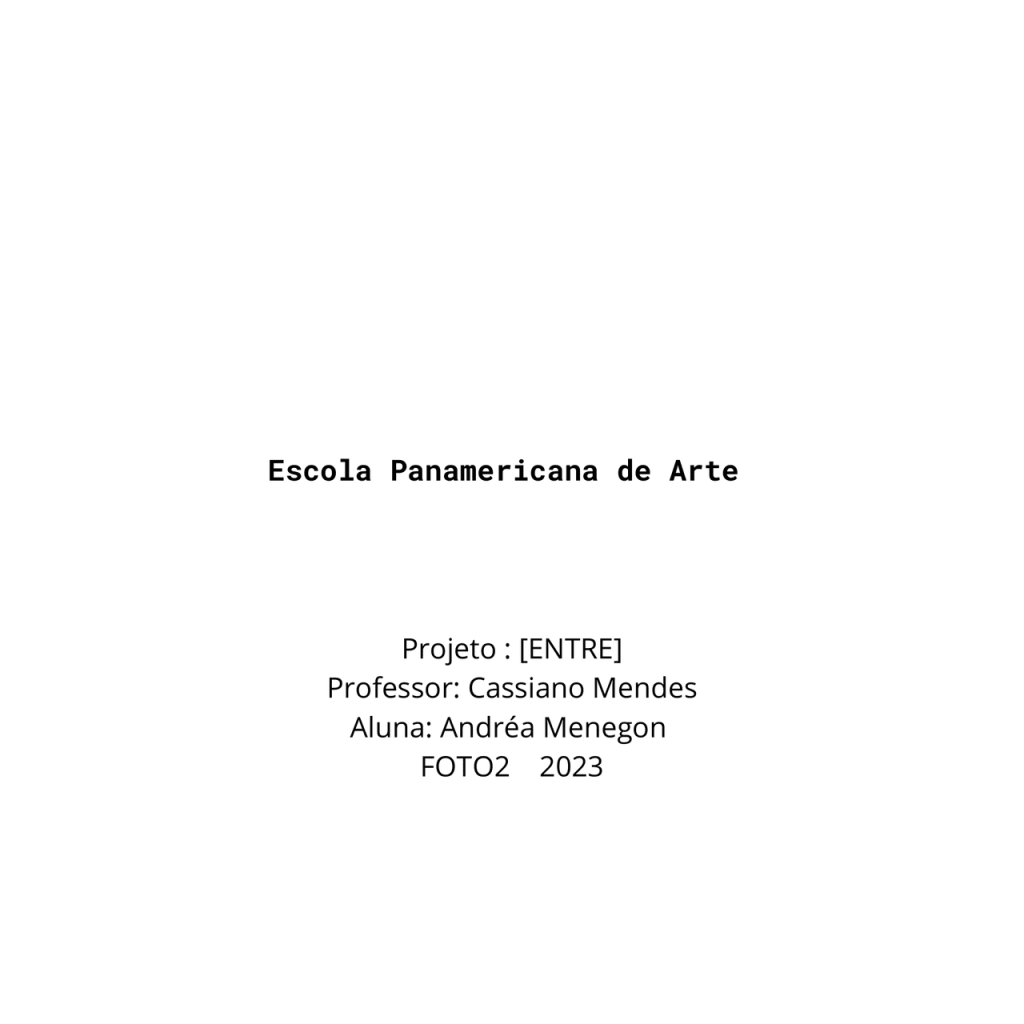 Obra de Andrea Cristina Menegon Youssef 