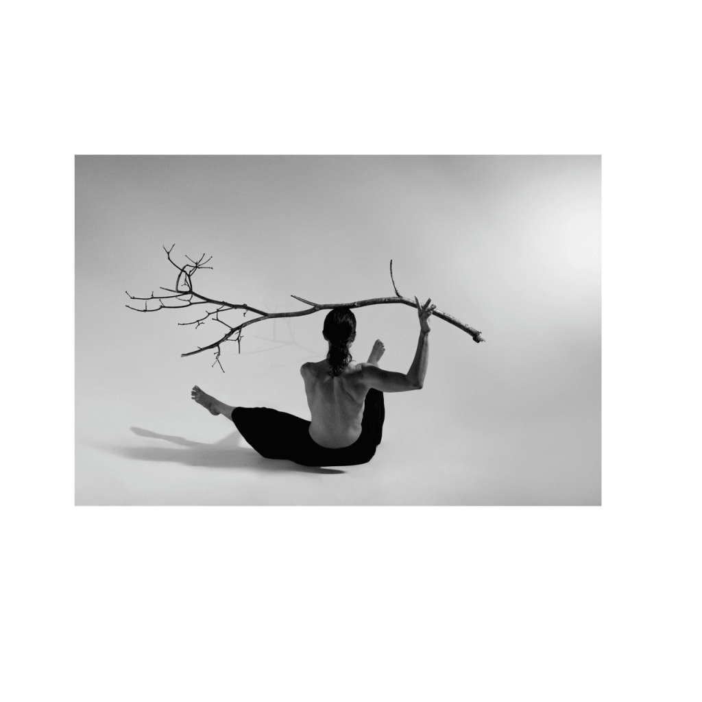 Obra de Andrea Cristina Menegon Youssef 