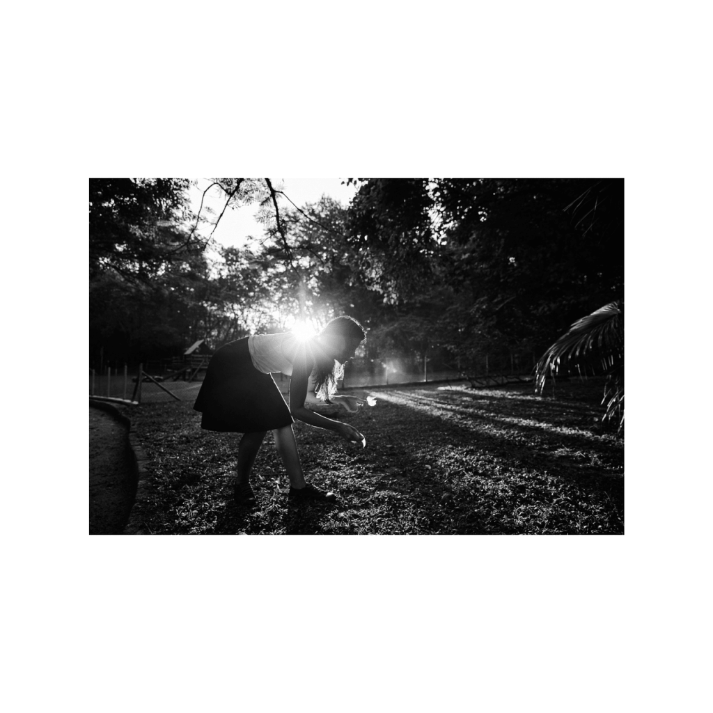 Obra de Andrea Cristina Menegon Youssef 