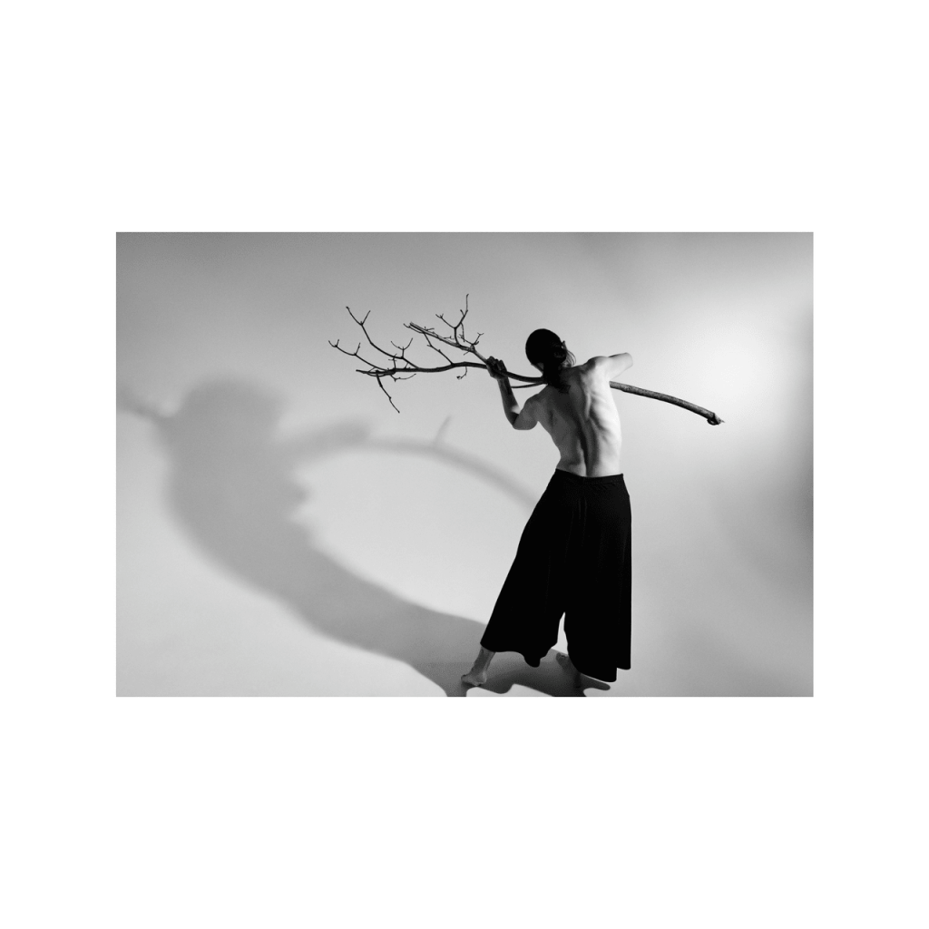 Obra de Andrea Cristina Menegon Youssef 