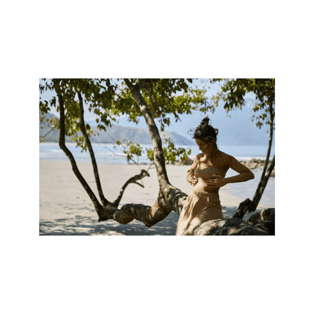 Obra de Andrea Cristina Menegon Youssef 