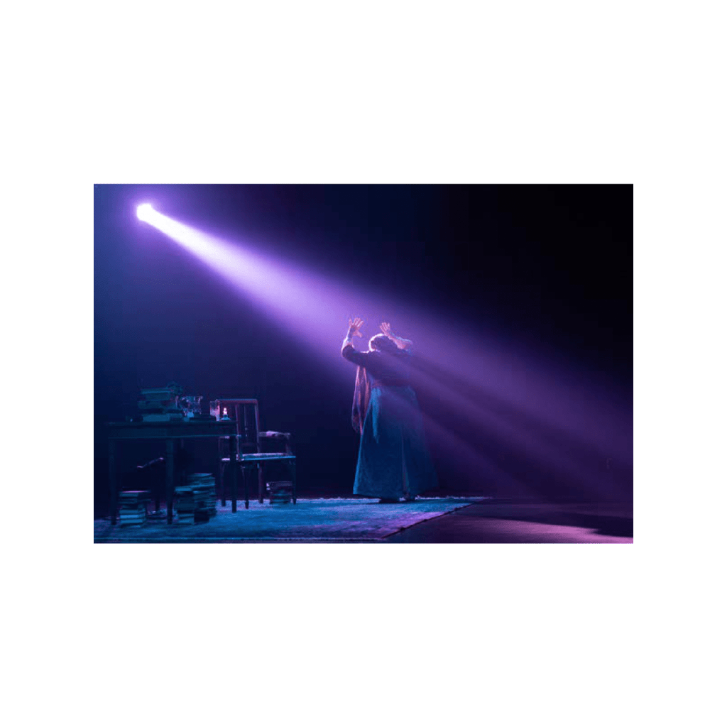 Obra de Andrea Cristina Menegon Youssef 