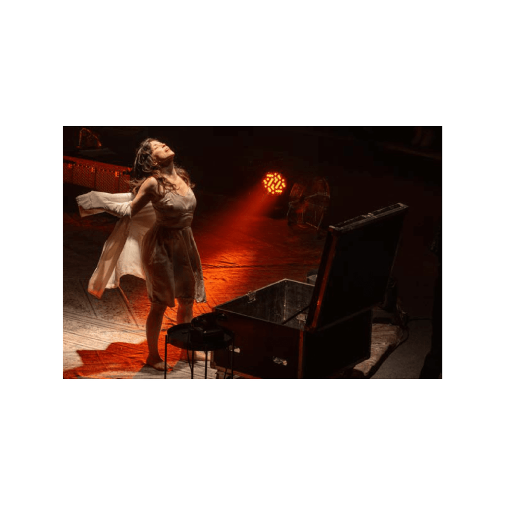 Obra de Andrea Cristina Menegon Youssef 