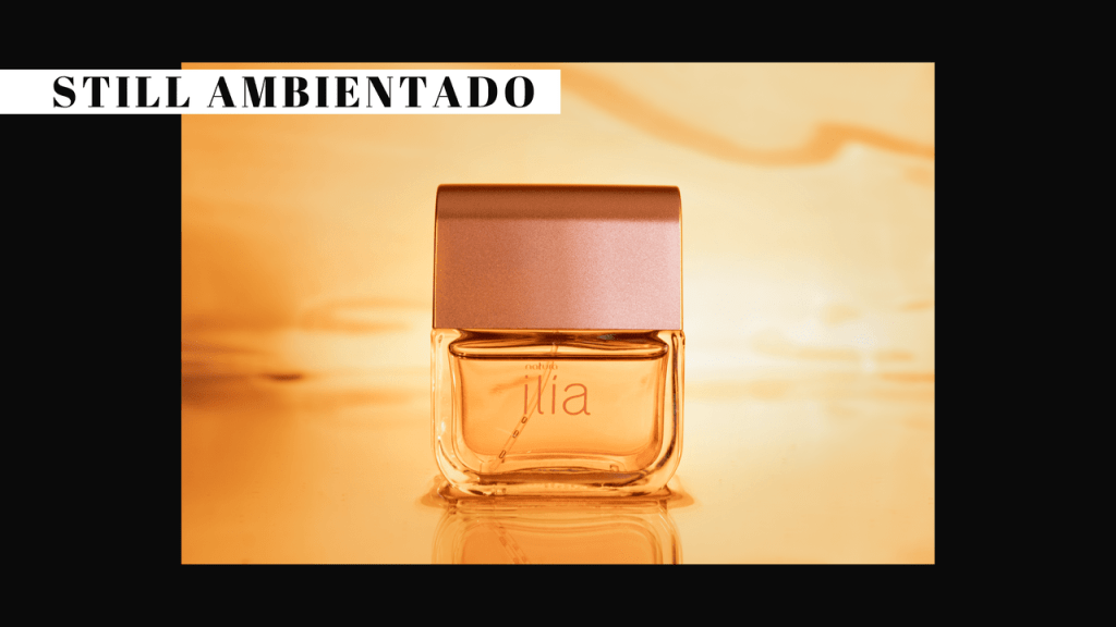 Obra de Beatriz Favaro Silva