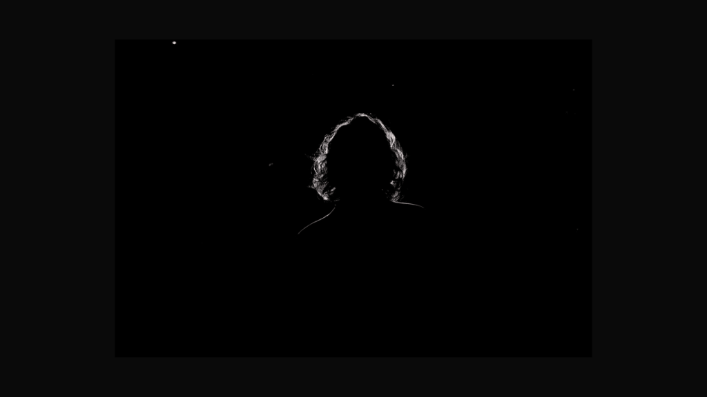 Obra de Beatriz Favaro Silva