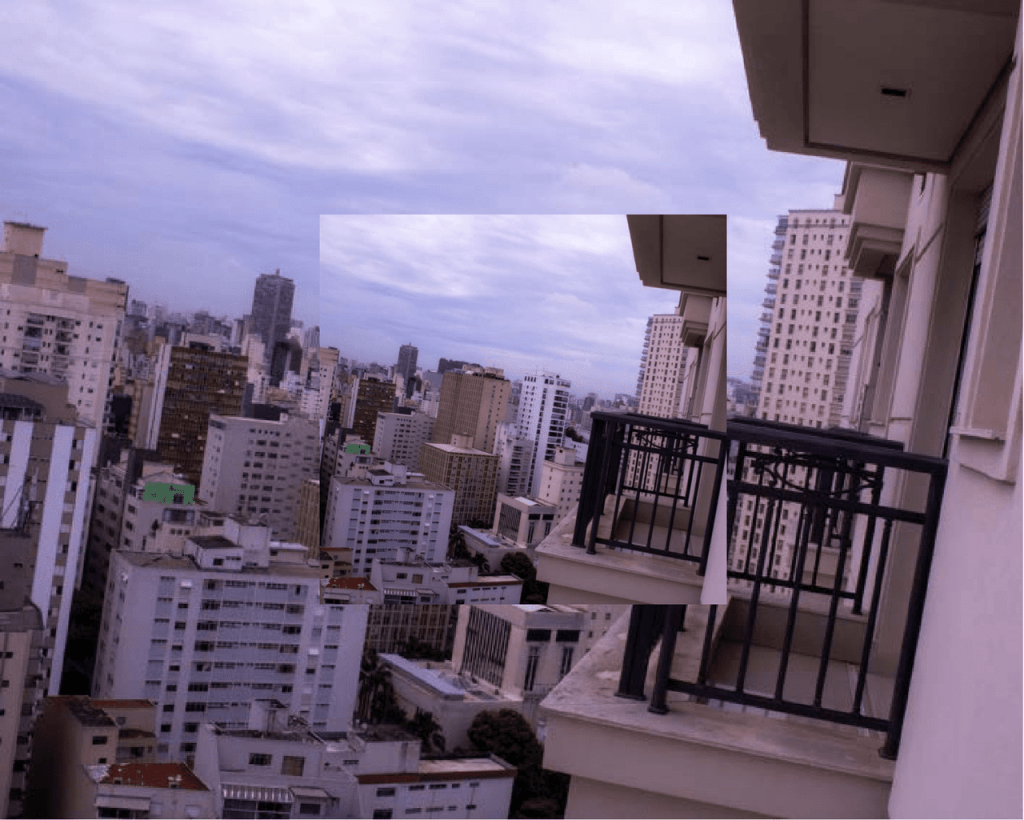 Obra de Dara Beatriz Efromovich 