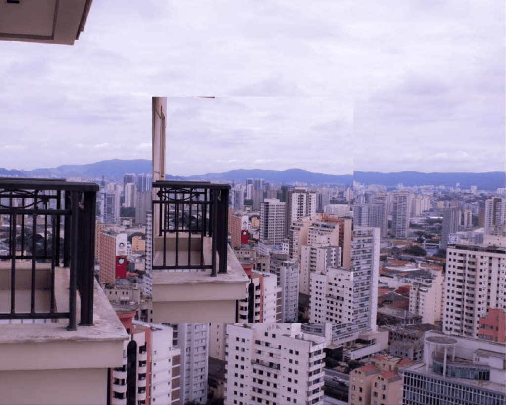Obra de Dara Beatriz Efromovich 