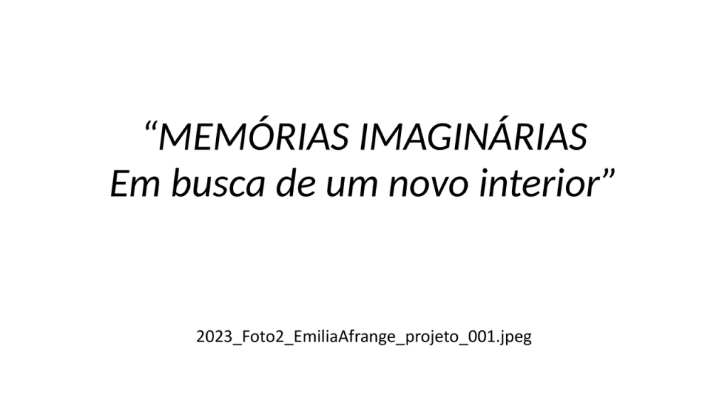 Obra de Emilia Aparecia Calixto Afrange