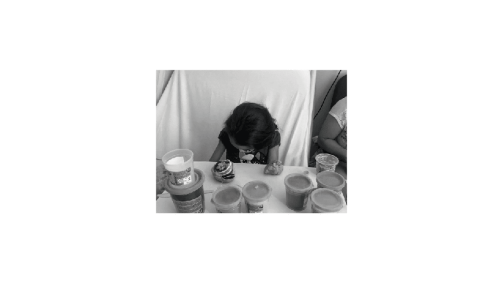 Obra de Emilia Aparecia Calixto Afrange