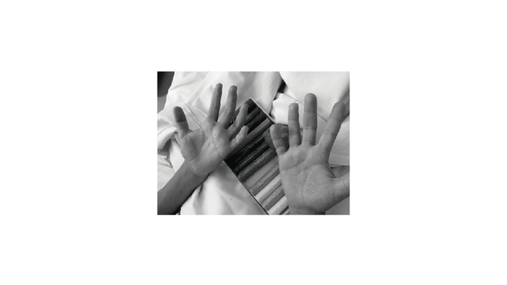 Obra de Emilia Aparecia Calixto Afrange