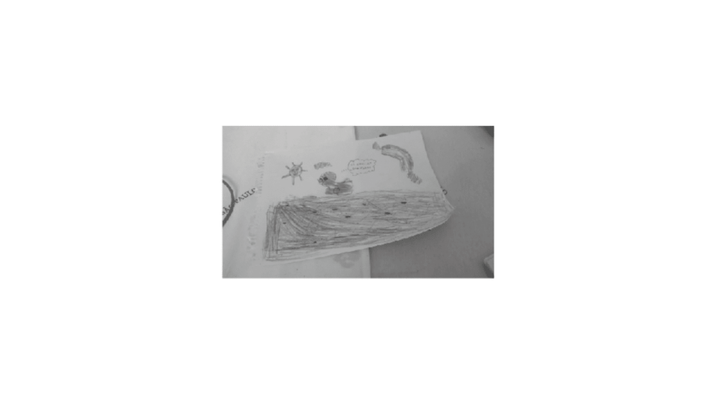 Obra de Emilia Aparecia Calixto Afrange