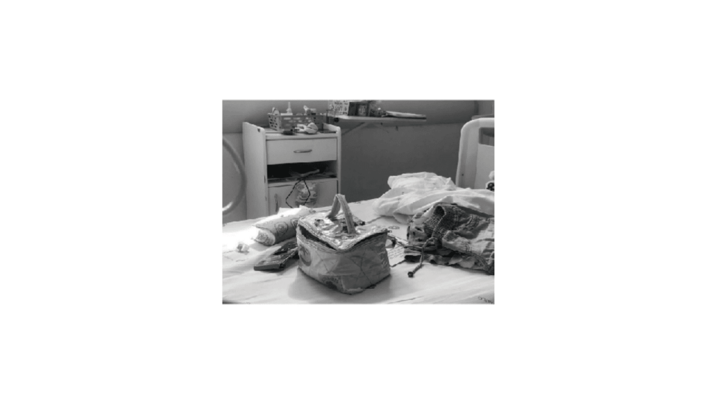 Obra de Emilia Aparecia Calixto Afrange