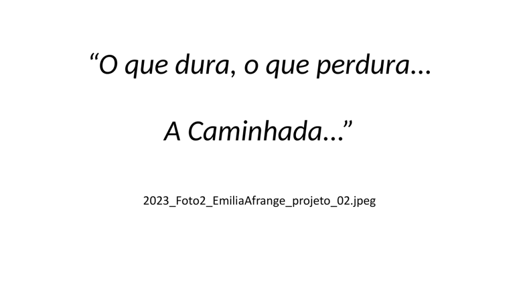 Obra de Emilia Aparecia Calixto Afrange