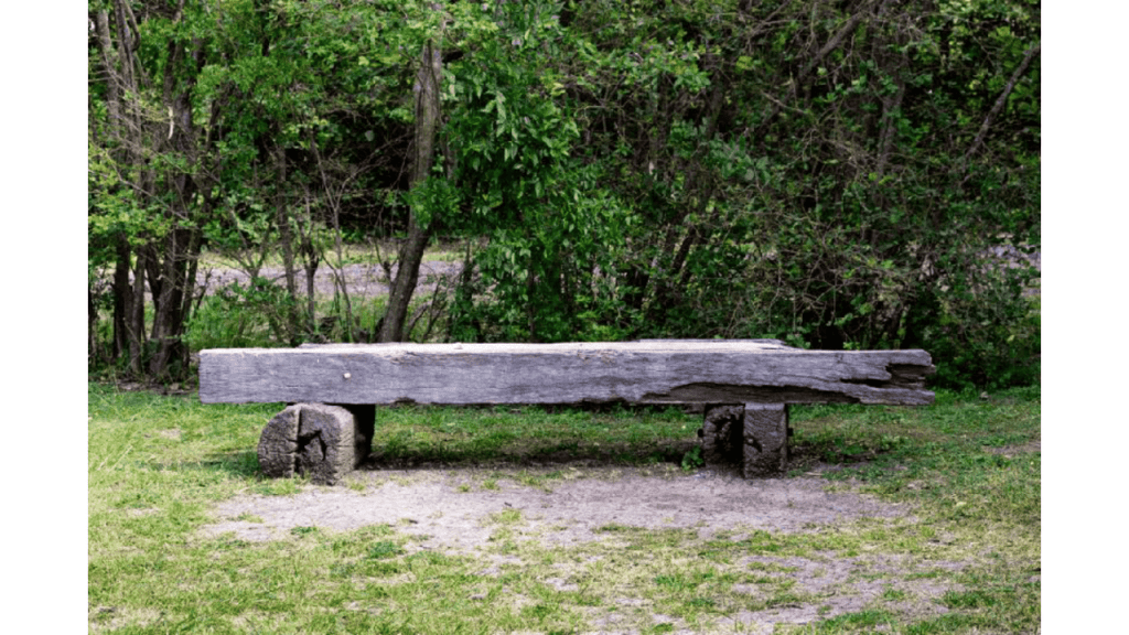 Obra de Emilia Aparecia Calixto Afrange