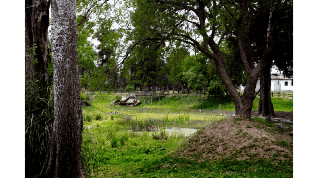 Obra de Emilia Aparecia Calixto Afrange